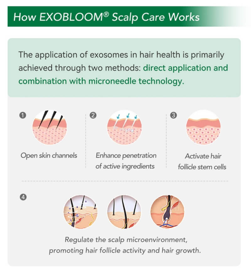 How EXOBLOOM® Scalp Care Works