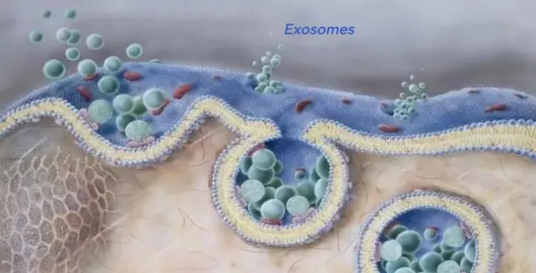 microneedling with exosomes side effects