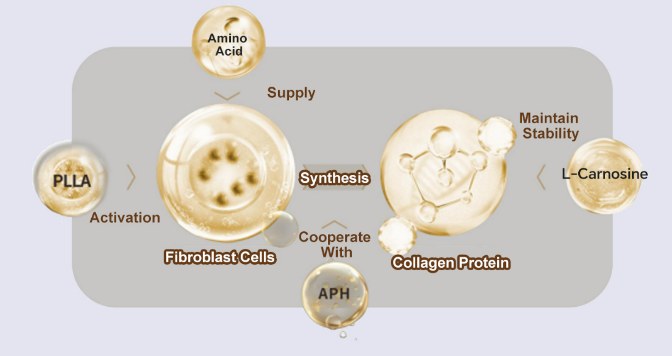 Mesocel PLLA Mesotherapy Solution