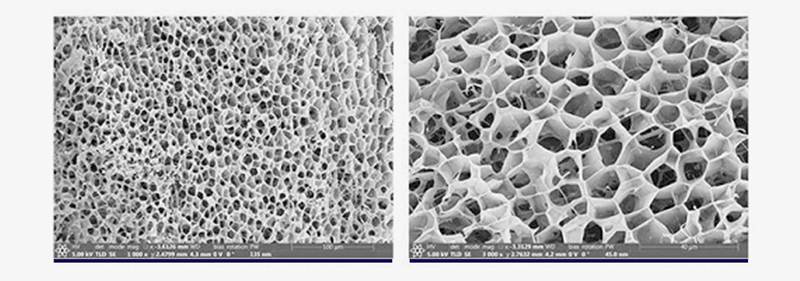 Mesocel Type Ⅲ Collagen Injection ingredient Mesocel Type Ⅲ Collagen Injection ingredient