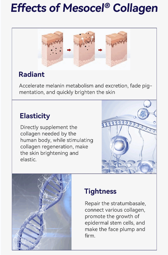 Effect Mesocel Type Ⅲ Collagen Injection Effect Mesocel Type Ⅲ Collagen Injection