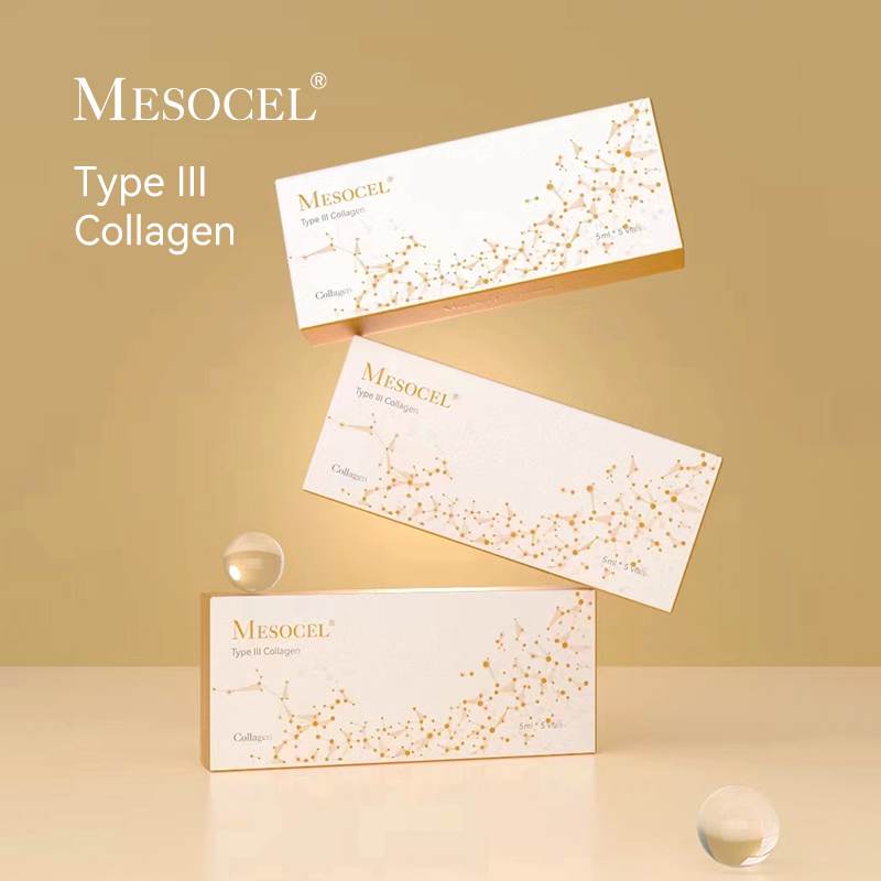 Mesocel Type Ⅲ Collagen Injection Mesocel Type Ⅲ Collagen Injection
